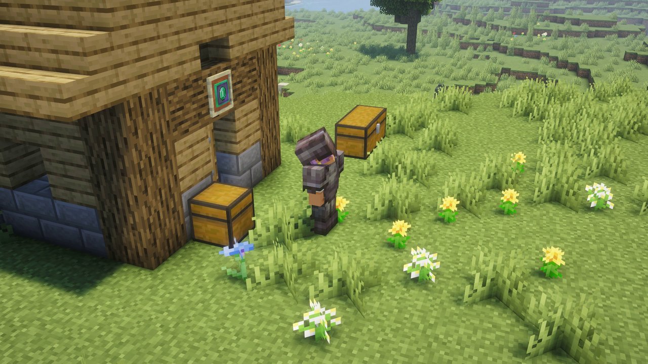 A simple starter Town Hall, with the token in an item frame beside the door